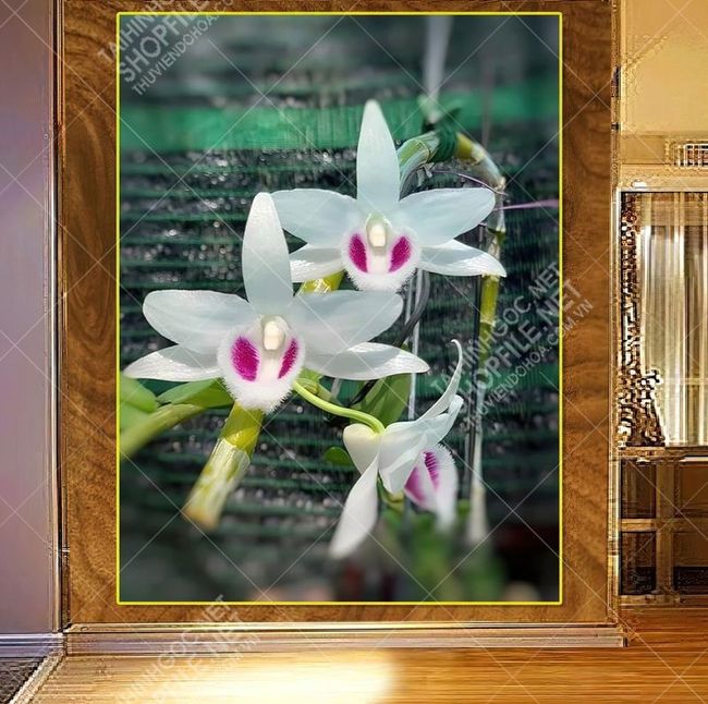 lan bach tuyet 18 03 2021 quynh